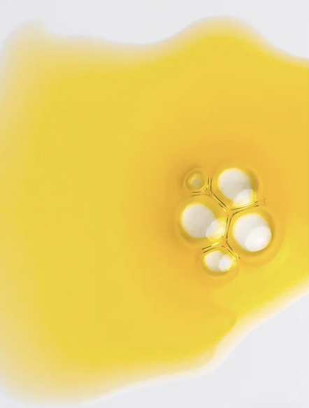 Bakuchiol Oil Serum – Sérum huile au bakuchiol